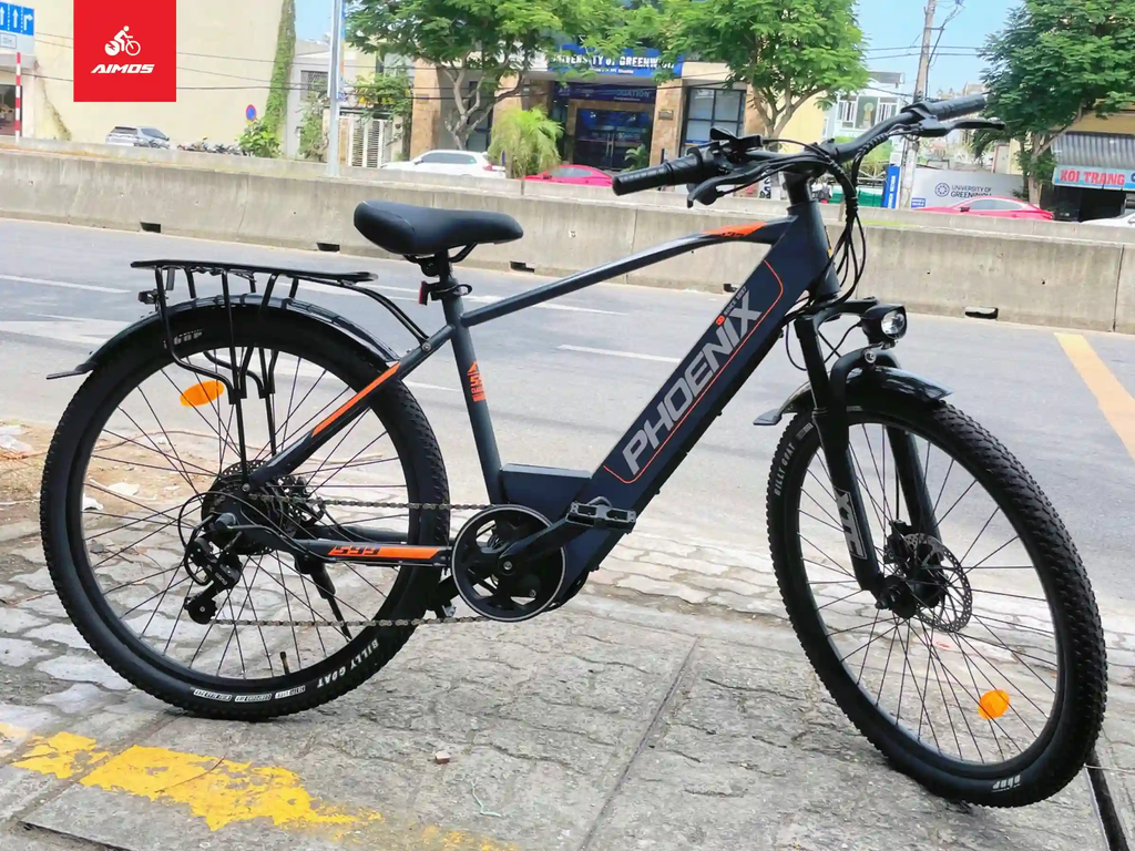 Xe đạp trợ lực Phoenix 599