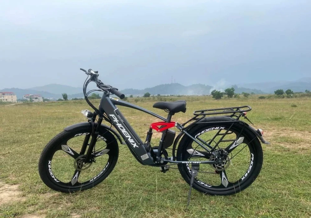 Xe đạp trợ lực điện Phoenix Q1