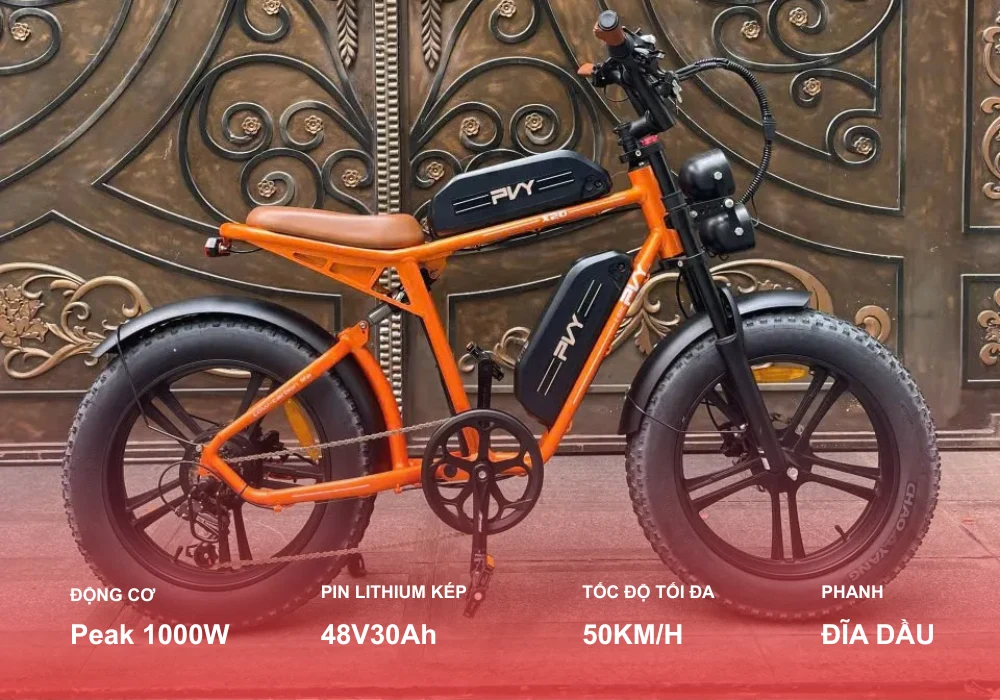 Xe đạp trợ lực điện PVY X20
