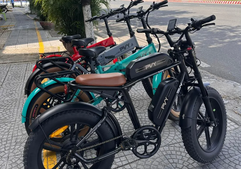 Xe Đạp Trợ Lực Điện PVY