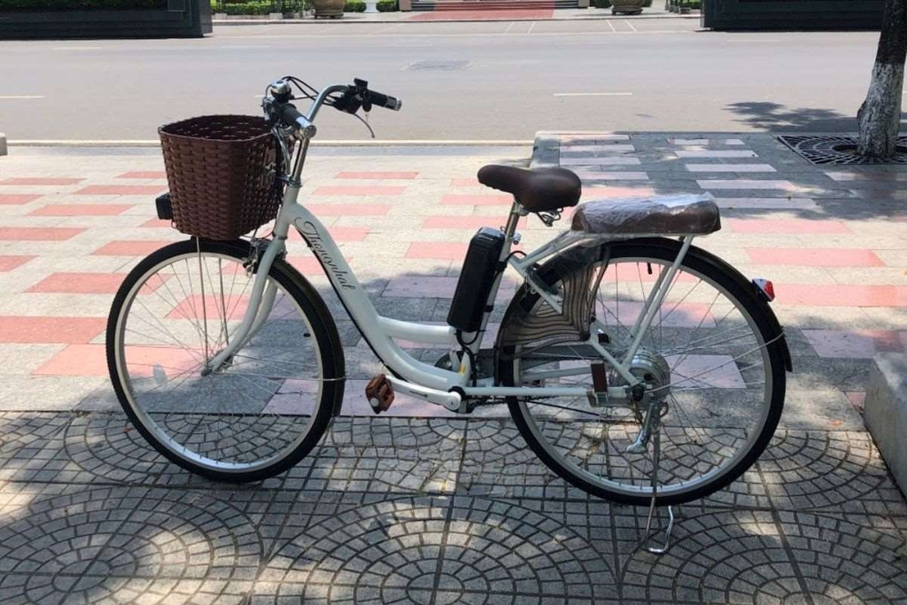 Xe đạp trợ lực điện Thống Nhất tự hào là thương hiệu Việt