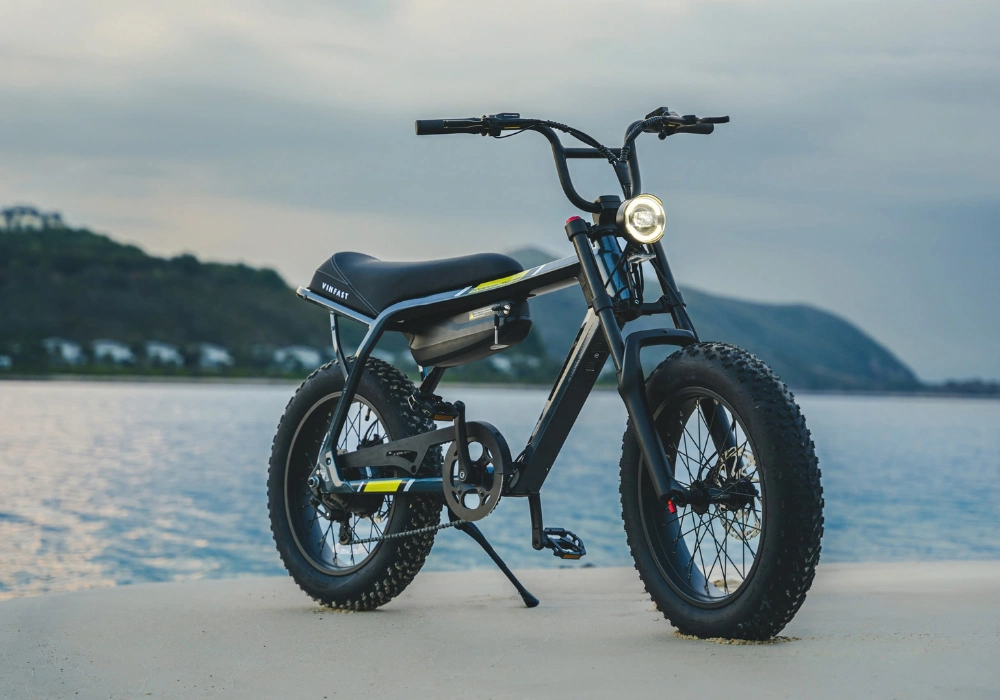 Xe Đạp Trợ Lực Điện VINFAST