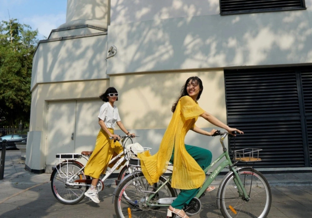 Xe đạp trợ lực điện Wiibike