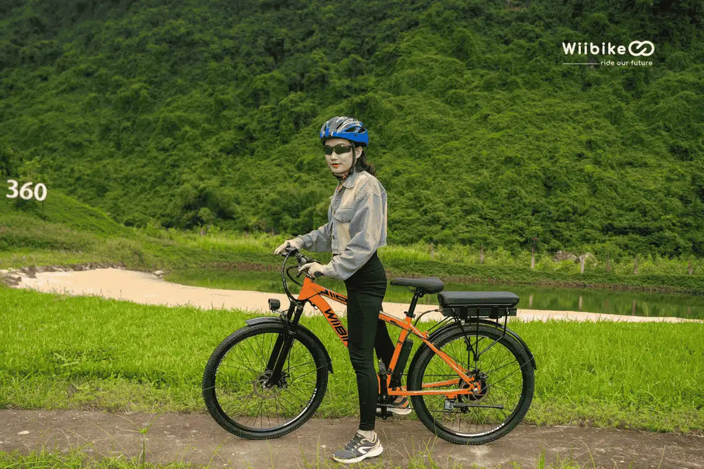Xe đạp trợ lực điện Wiibike