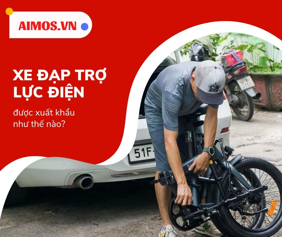 Xe đạp trơ lực điện xuất khẩu