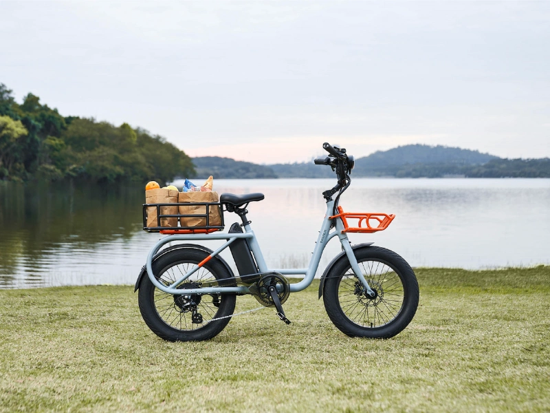 Xe đạp trợ lực điện Yadea Cocoa