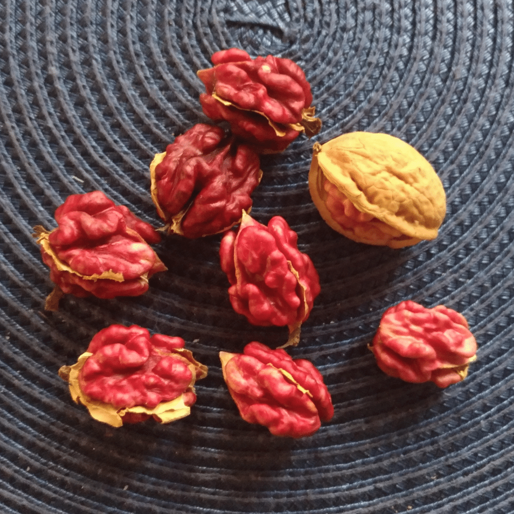 lợi ích óc chó đỏ 