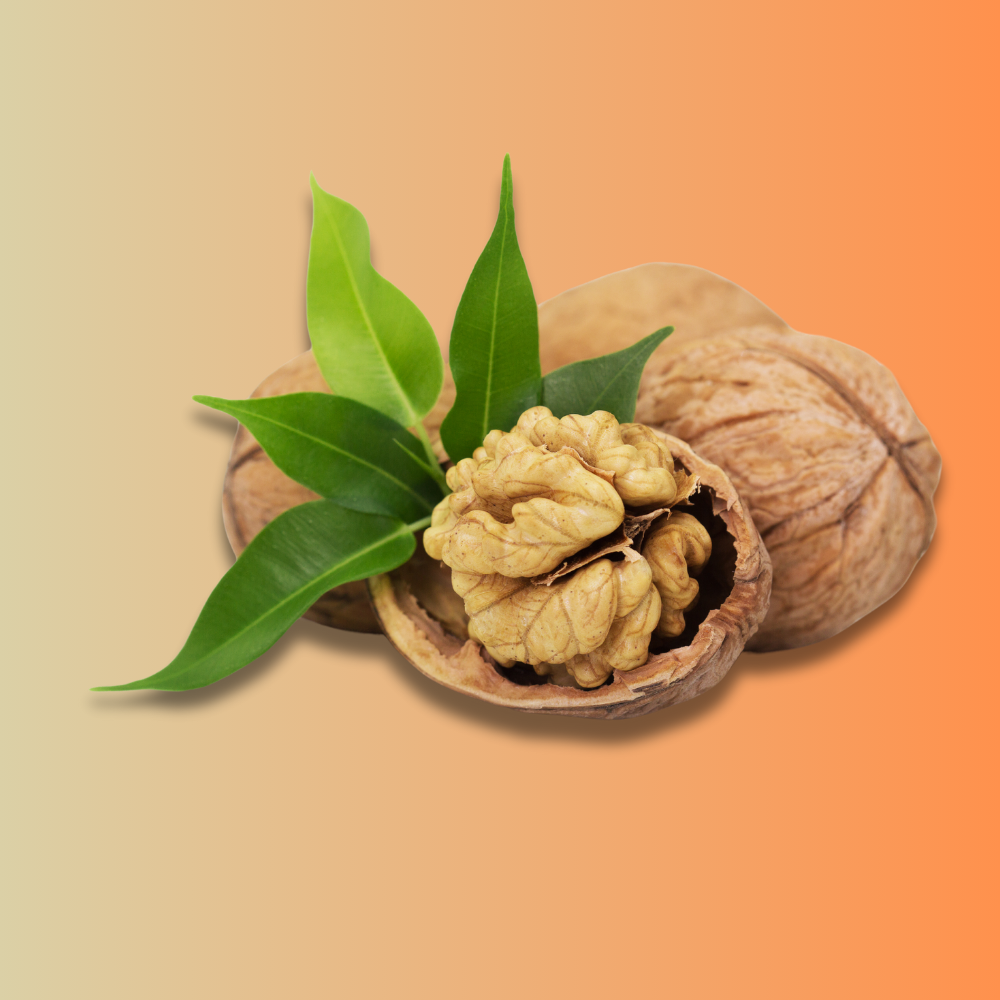 Vận chuyển hạt óc chó từ Mỹ về Việt Nam – Giải pháp logistics an toàn cho thực phẩm dinh dưỡng cao cấp