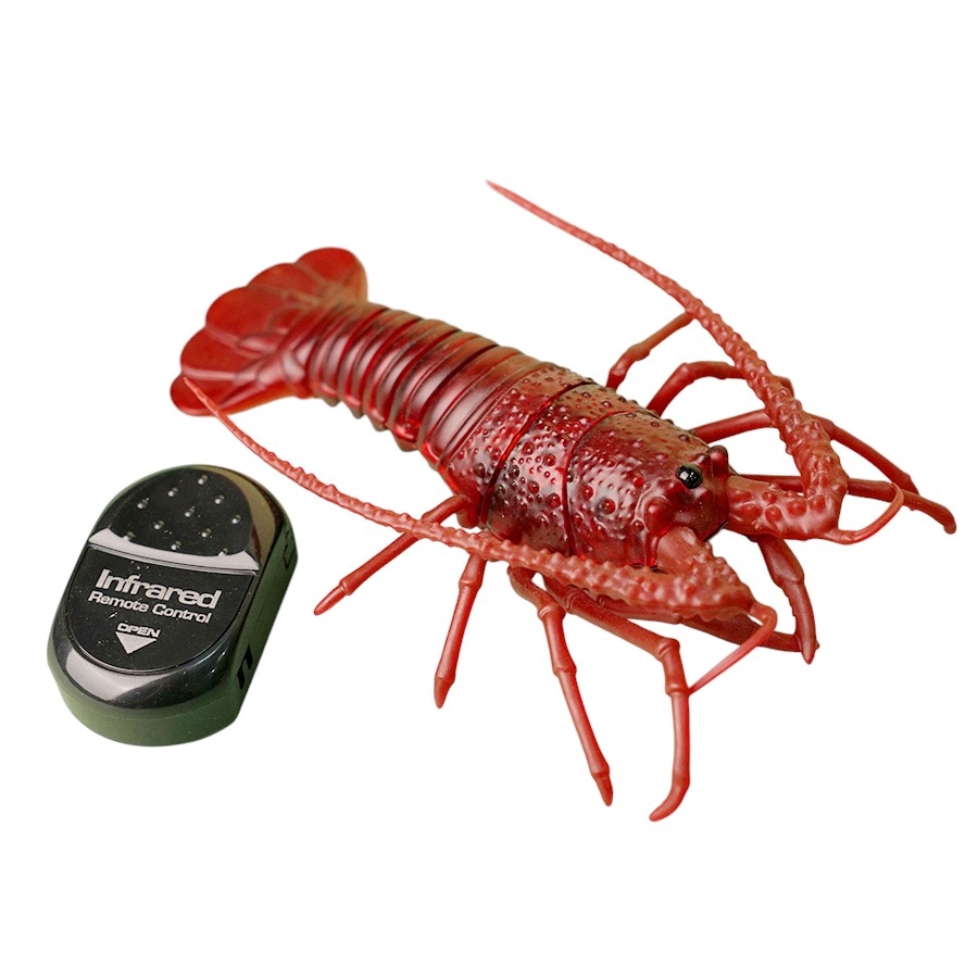 7703  HỘP TÔM HÙM ĐIỀU KHIỂN KHÔNG SẠC (THÚ ĐK)