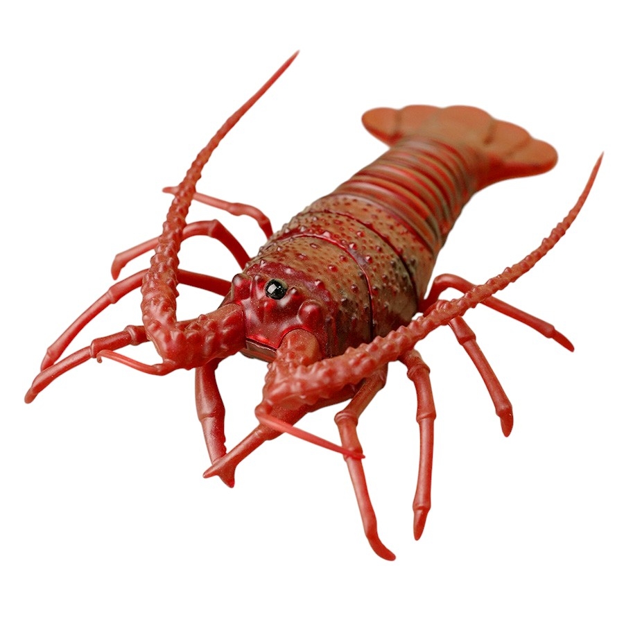 7703  HỘP TÔM HÙM ĐIỀU KHIỂN KHÔNG SẠC (THÚ ĐK)