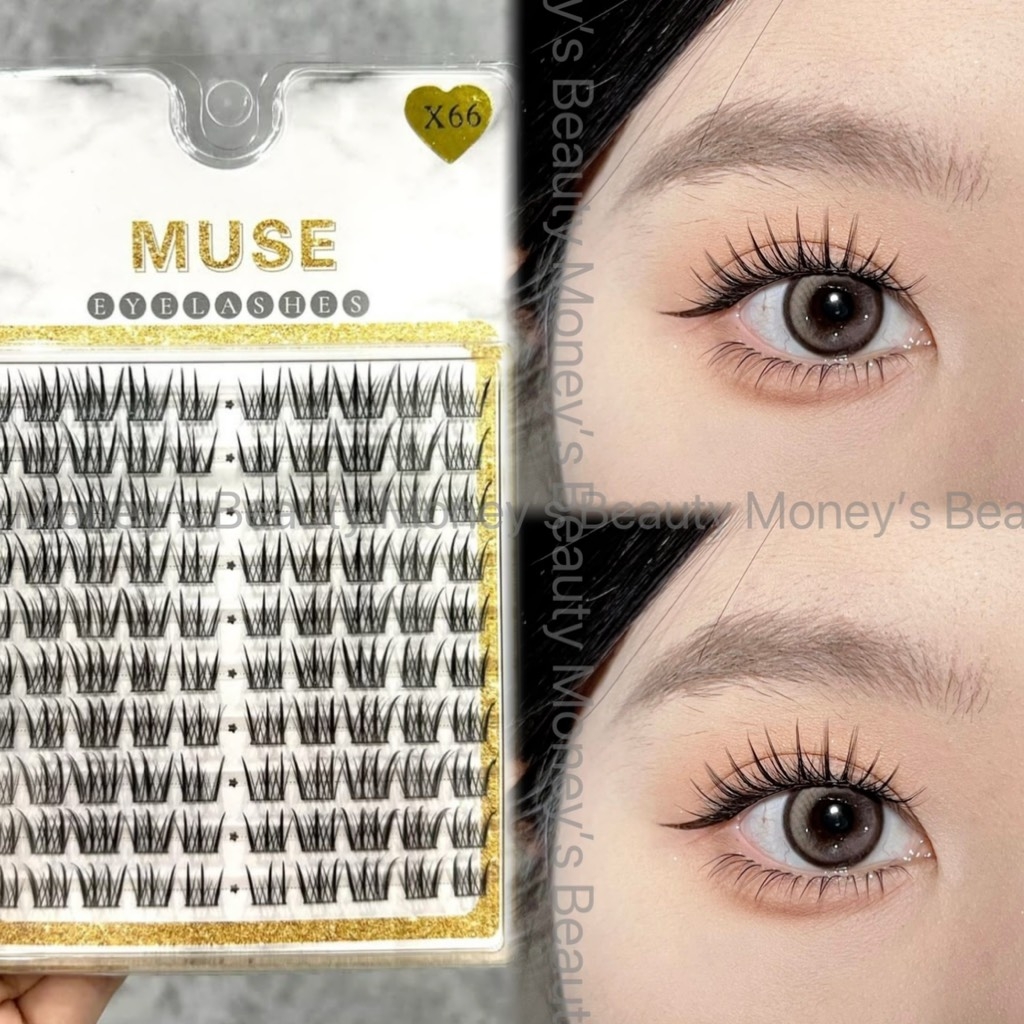 Lông Mi Giả Tách Sợi Mi Chùm Muse