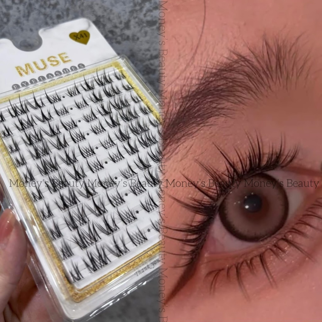 Lông Mi Giả Tách Sợi Mi Chùm Muse