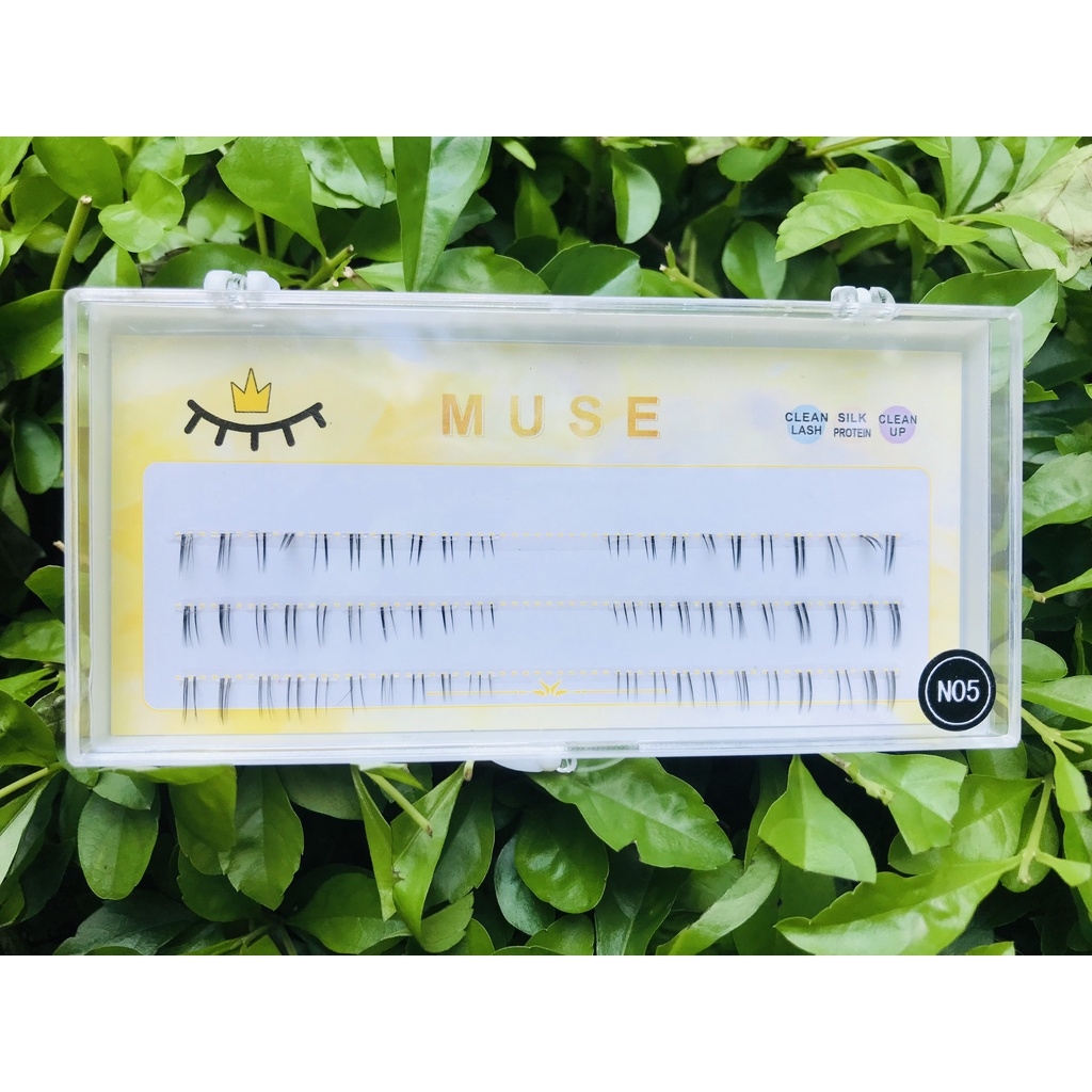 Lông Mi Giả Tách Sợi Mi Chùm Muse