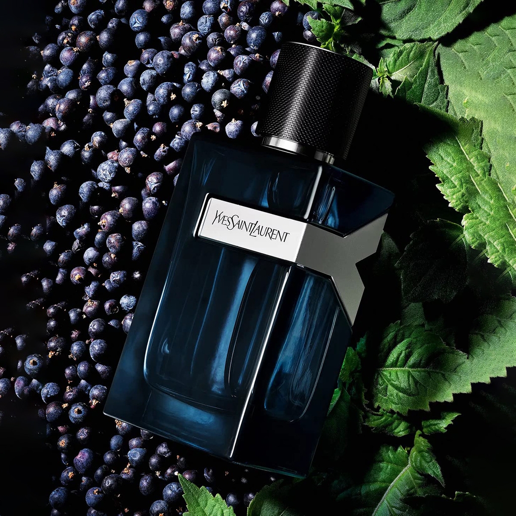 Nước Hoa Nam Yves Saint Laurent Y EDP Intense