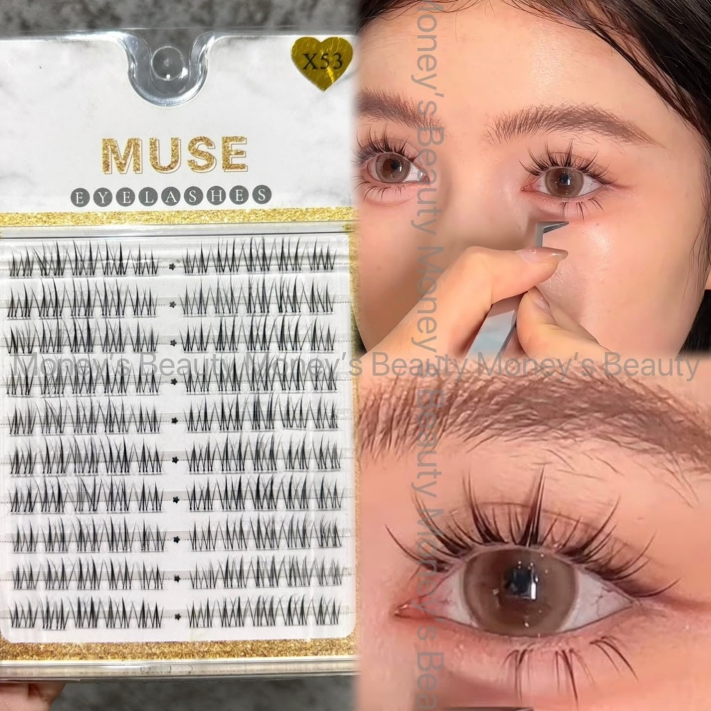(Mi Dưới) Lông Mi Giả , Mi Chùm . Mi Gân Trong Muse
