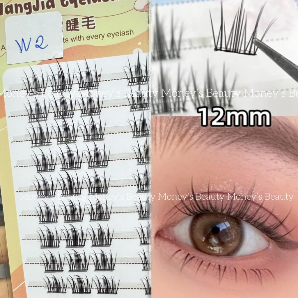 Lông Mi Giả  Lông Mi Chùm WangJia