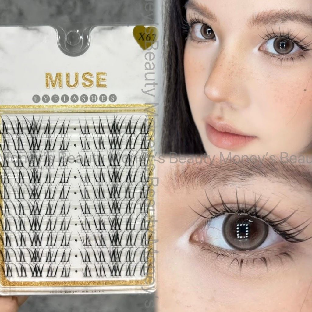 Lông Mi Giả Tách Sợi Mi Chùm Muse