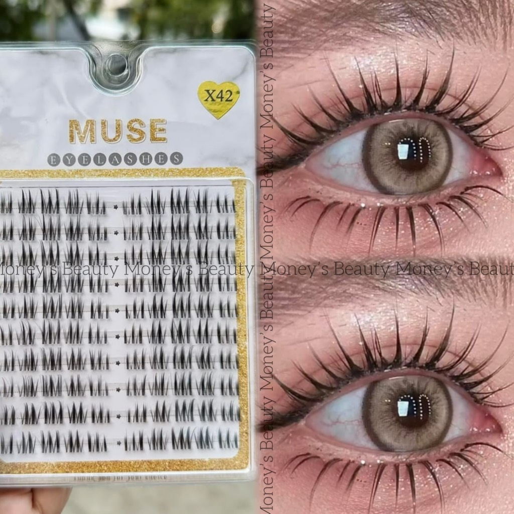 Lông Mi Giả Tách Sợi Mi Chùm Muse