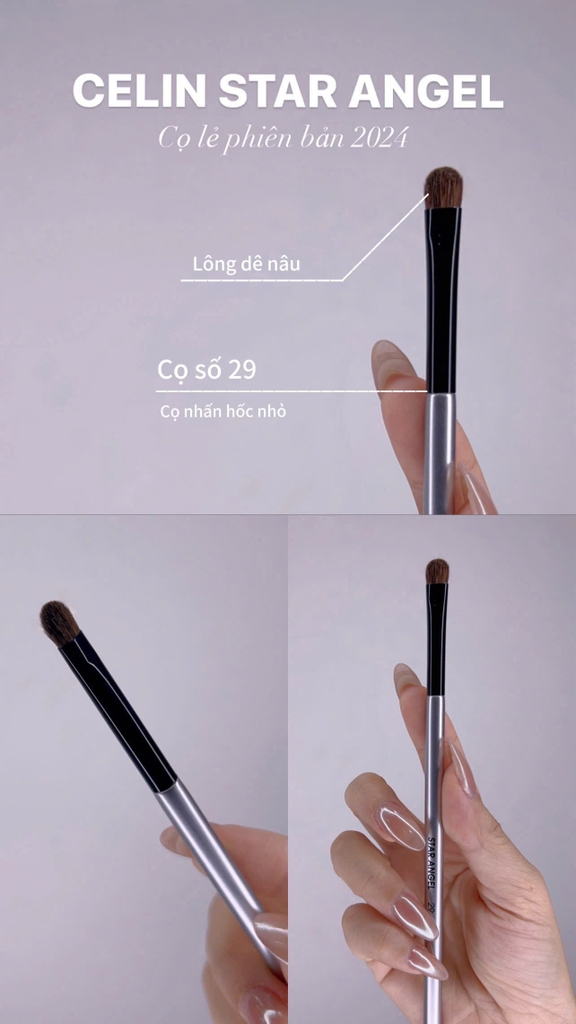 Cọ Lẻ Celin  Star Angel