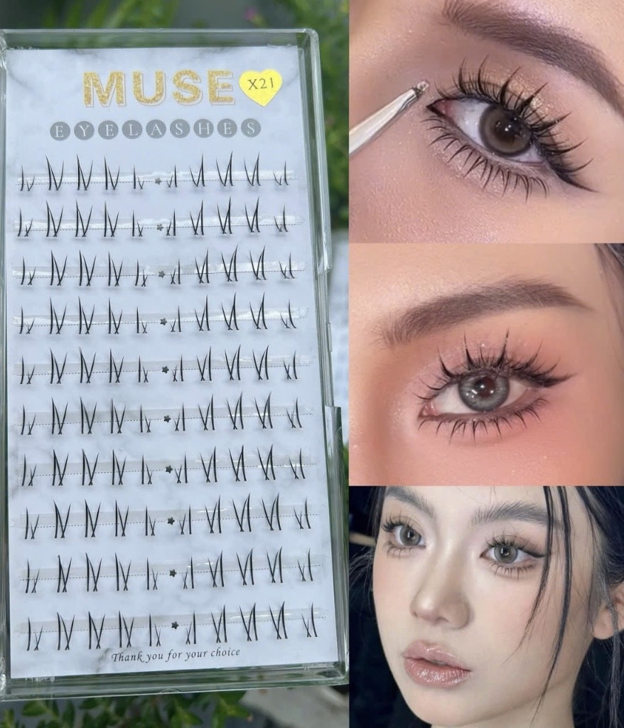 (Mi Dưới) Lông Mi Giả , Mi Chùm . Mi Gân Trong Muse