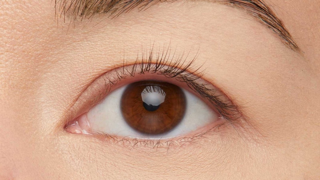 Chuốt Mi Maybelline Great Lash Mascara