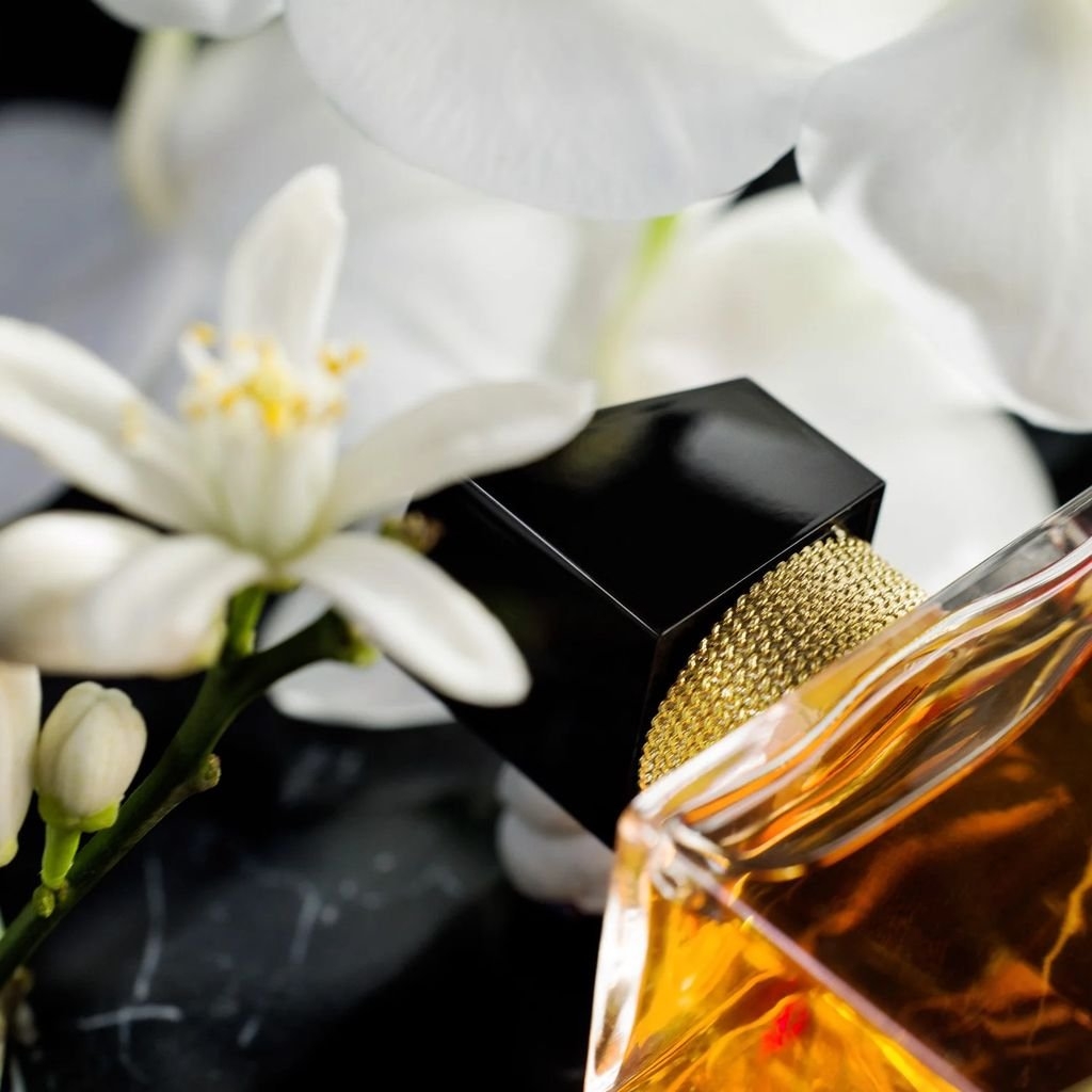 Nước Hoa Nữ Yves Saint Laurent Libre Intense