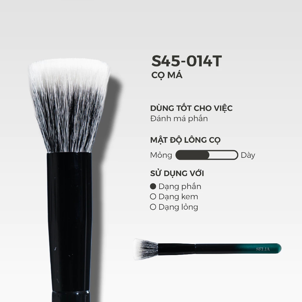 Cọ Lẻ Selia Thân Gỗ Công Nghiệp Lông Mềm