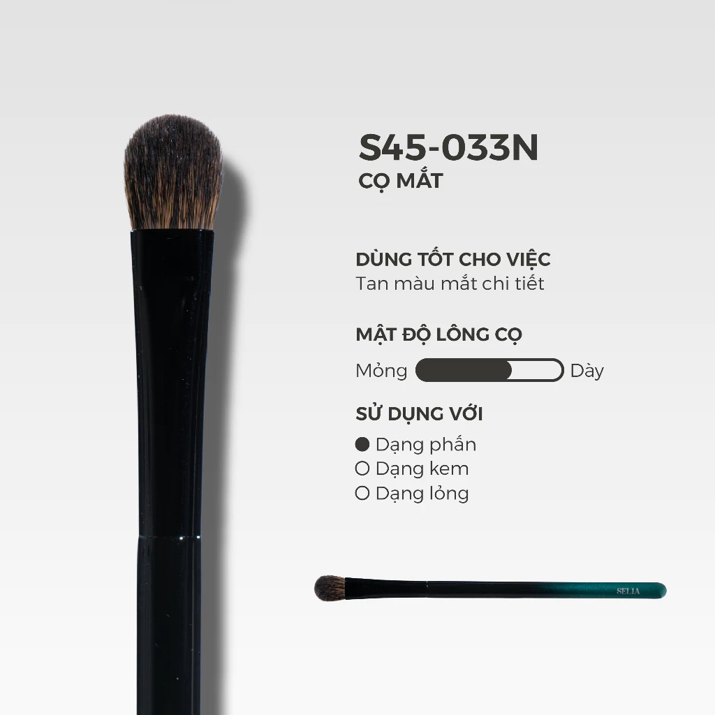 Cọ Lẻ Selia Thân Gỗ Công Nghiệp Lông Mềm