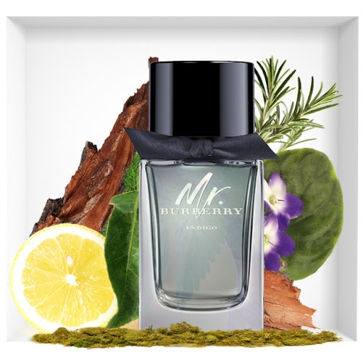 Nước hoa nam Mr. Burberry Indigo EDT