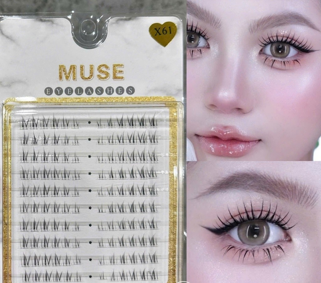 (Mi Dưới) Lông Mi Giả , Mi Chùm . Mi Gân Trong Muse
