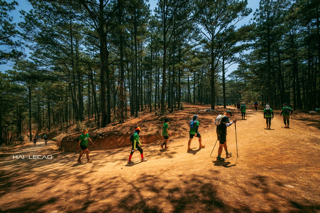 Dalat Ultra Trail