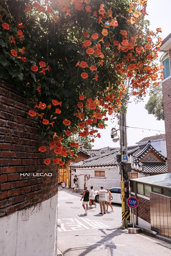 Twin-Hanok -Bukchon / Korea