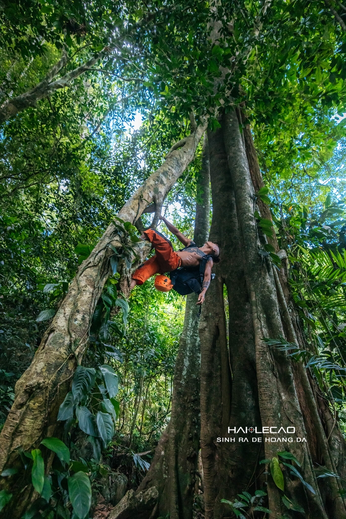 Hố Sụt Koong / Quảng Bình