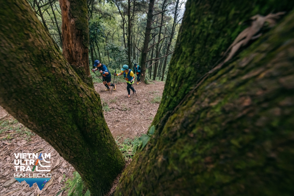 Việt Nam Ultra Trail