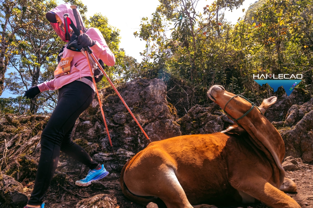 VietNam Ultra Marathon( P2)