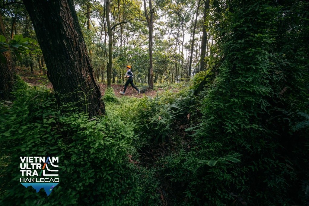 Việt Nam Ultra Trail