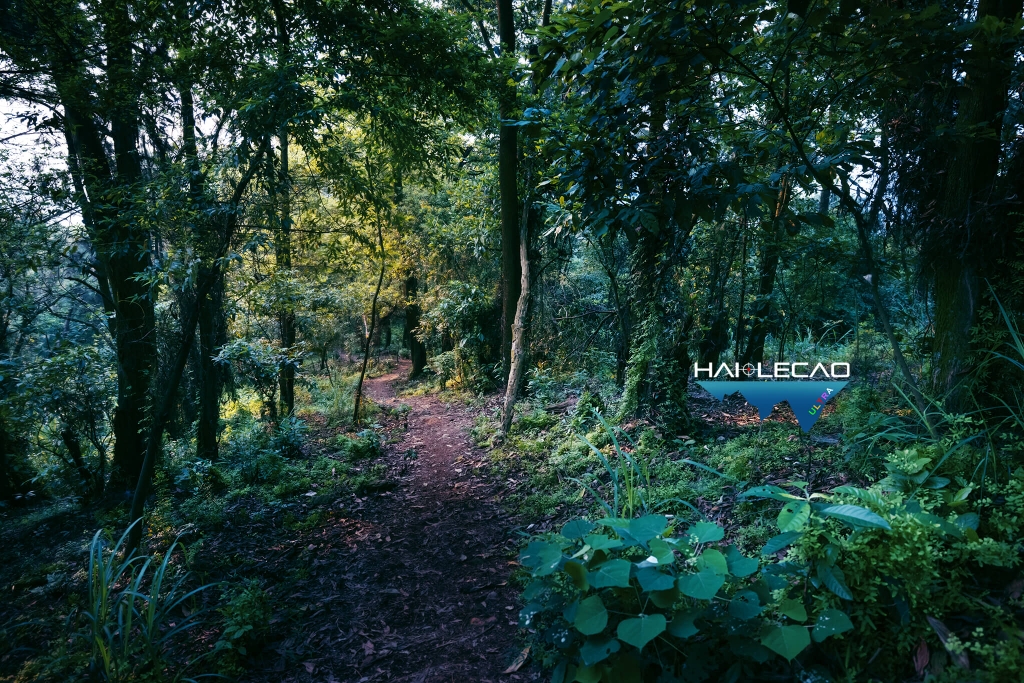 Việt Nam Ultra Trail/P2
