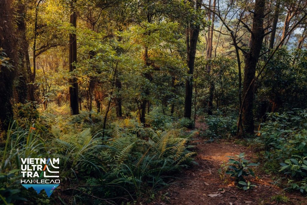 Việt Nam Ultra Trail