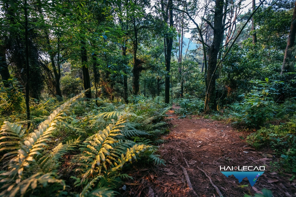 Việt Nam Ultra Trail/P2