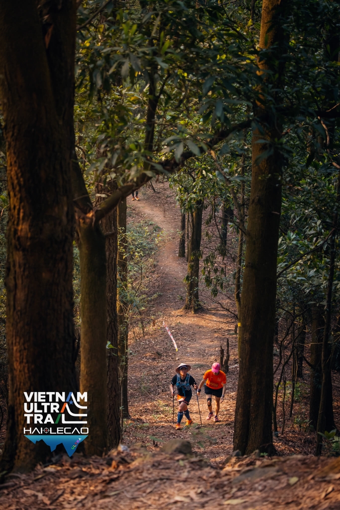 Việt Nam Ultra Trail
