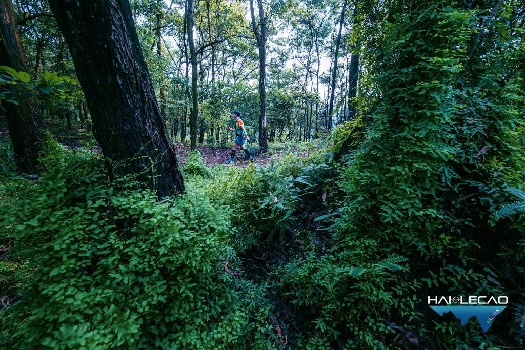 Việt Nam Ultra Trail/P2