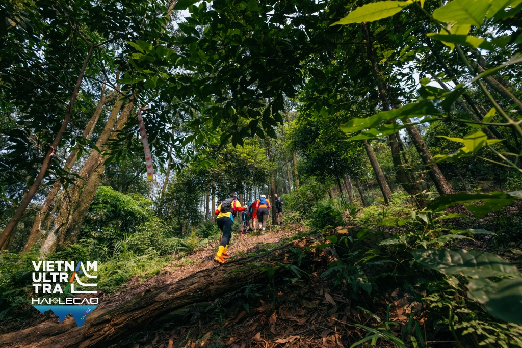 Việt Nam Ultra Trail