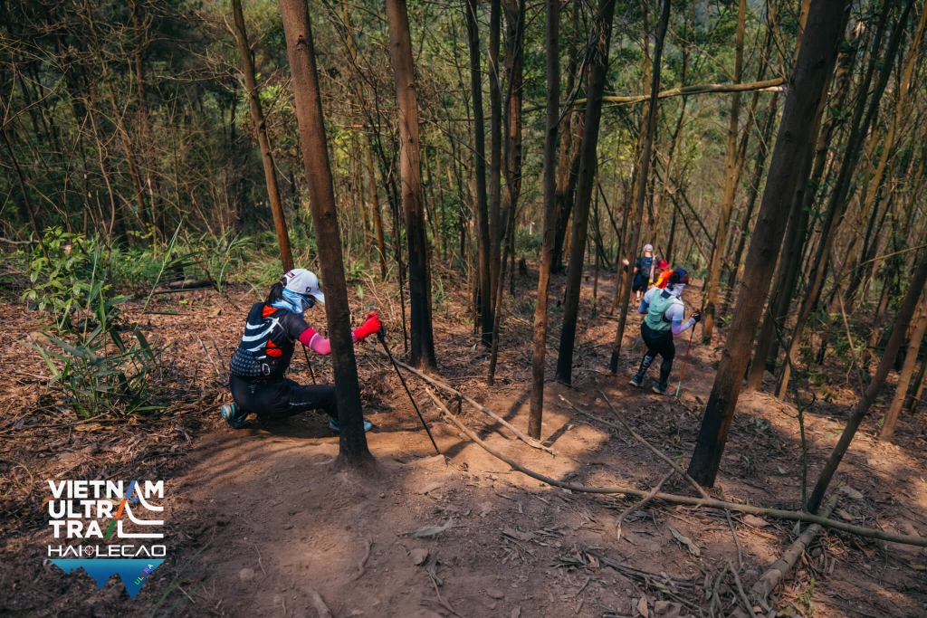 Việt Nam Ultra Trail