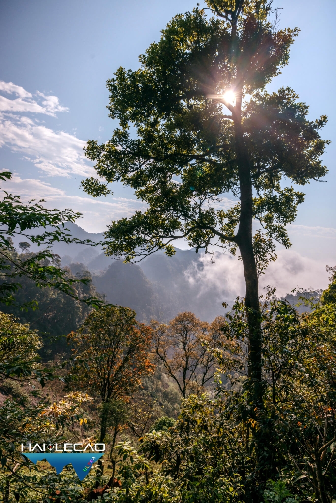 VietNam Ultra Marathon( P1)
