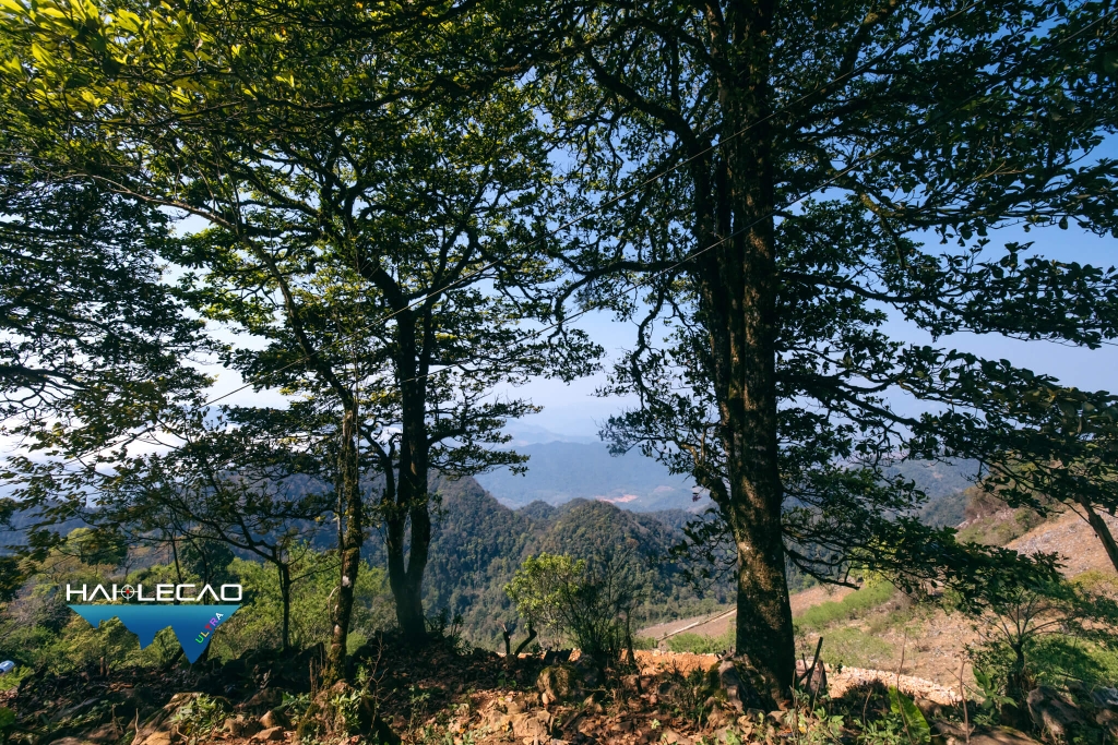 VietNam Ultra Marathon( P2)