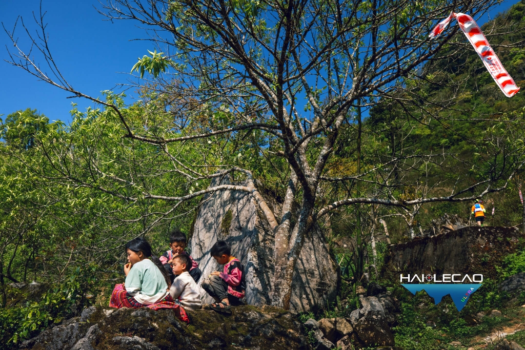 VietNam Ultra Marathon( P2)