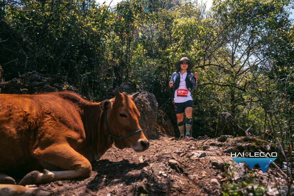 VietNam Ultra Marathon( P2)