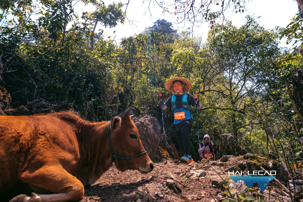VietNam Ultra Marathon( P2)