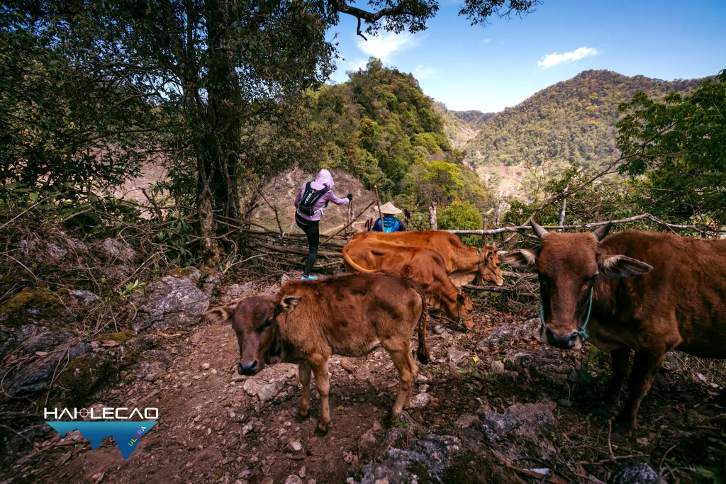 VietNam Ultra Marathon( P2)