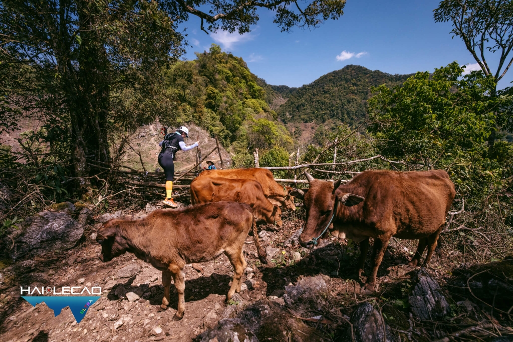 VietNam Ultra Marathon( P2)